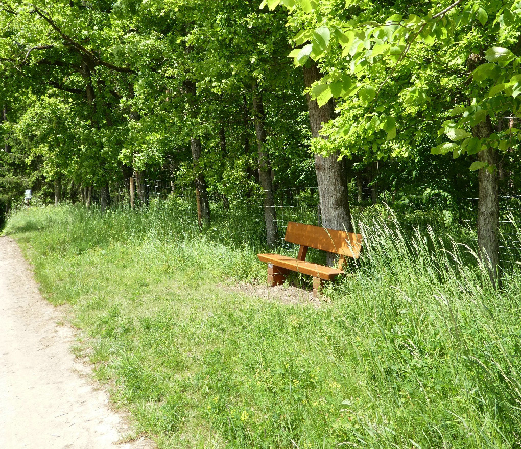 Ruhebank am Fernabrünster Wegklein-1.jpg